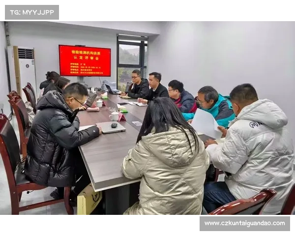 斯坦福桥五大核心组织的角色与发展分析